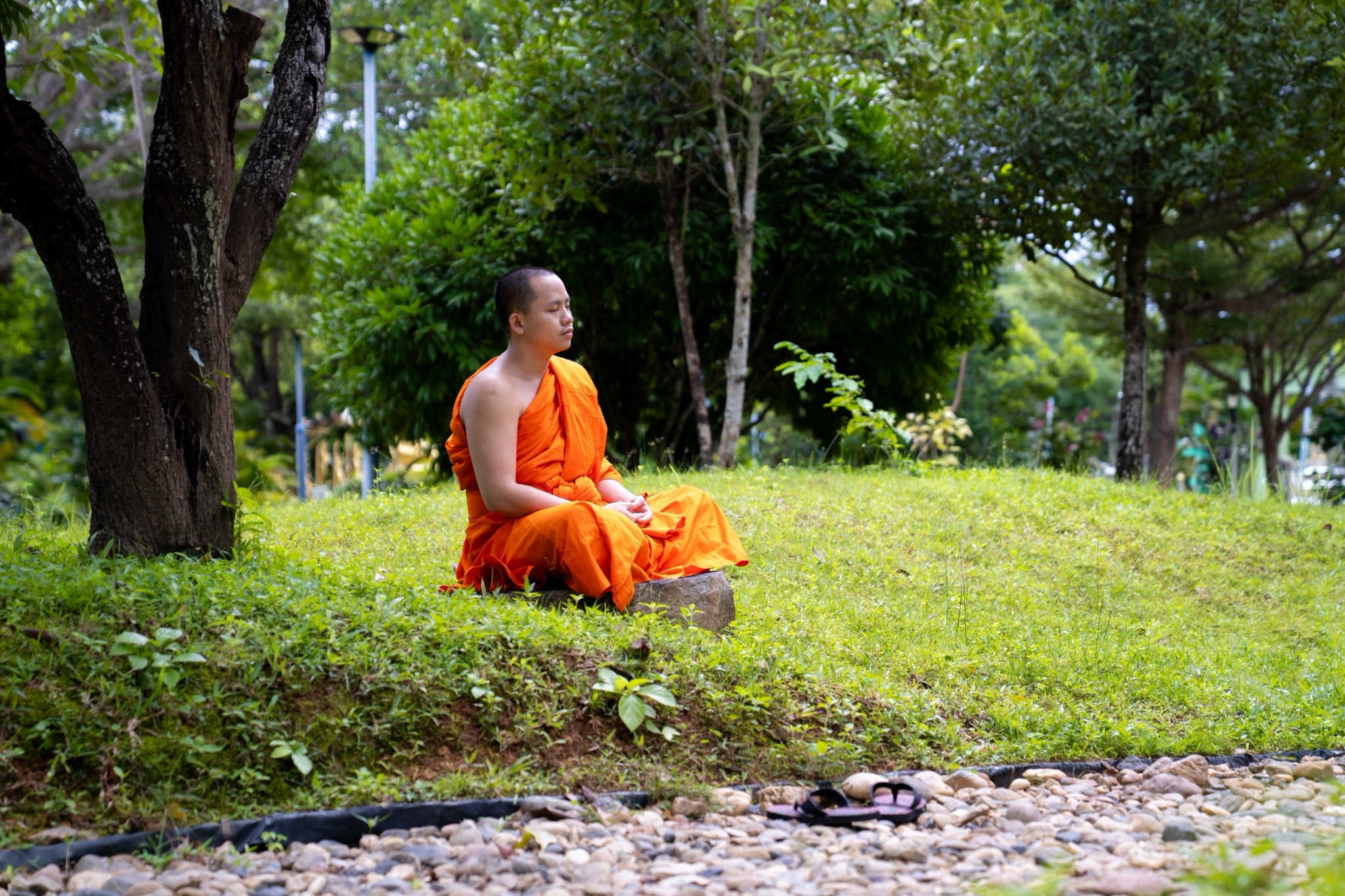 1 Day Mediation Retreat