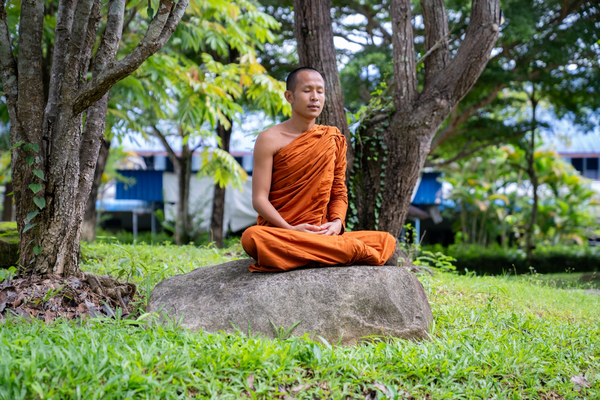 1 Day Mediation Retreat